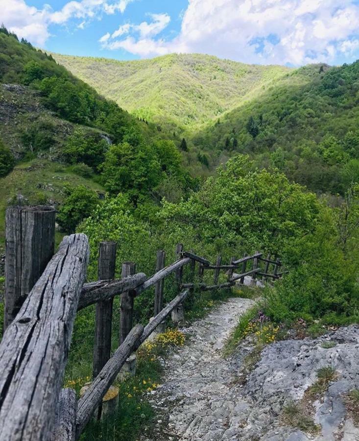 B&B Pisolo E I Persi Pien Roccasparvera Dış mekan fotoğraf